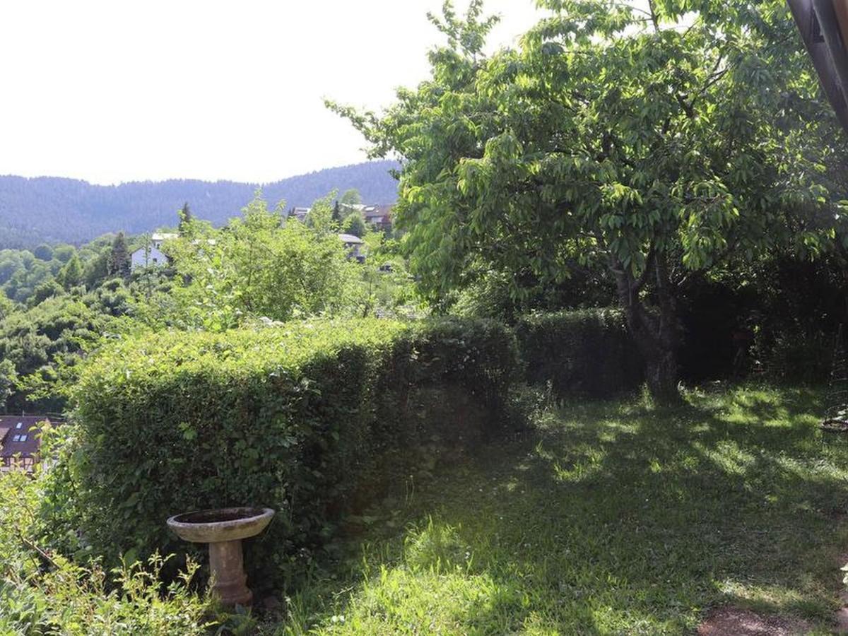 Haus Hoehneck 1 Alpirsbach Luaran gambar