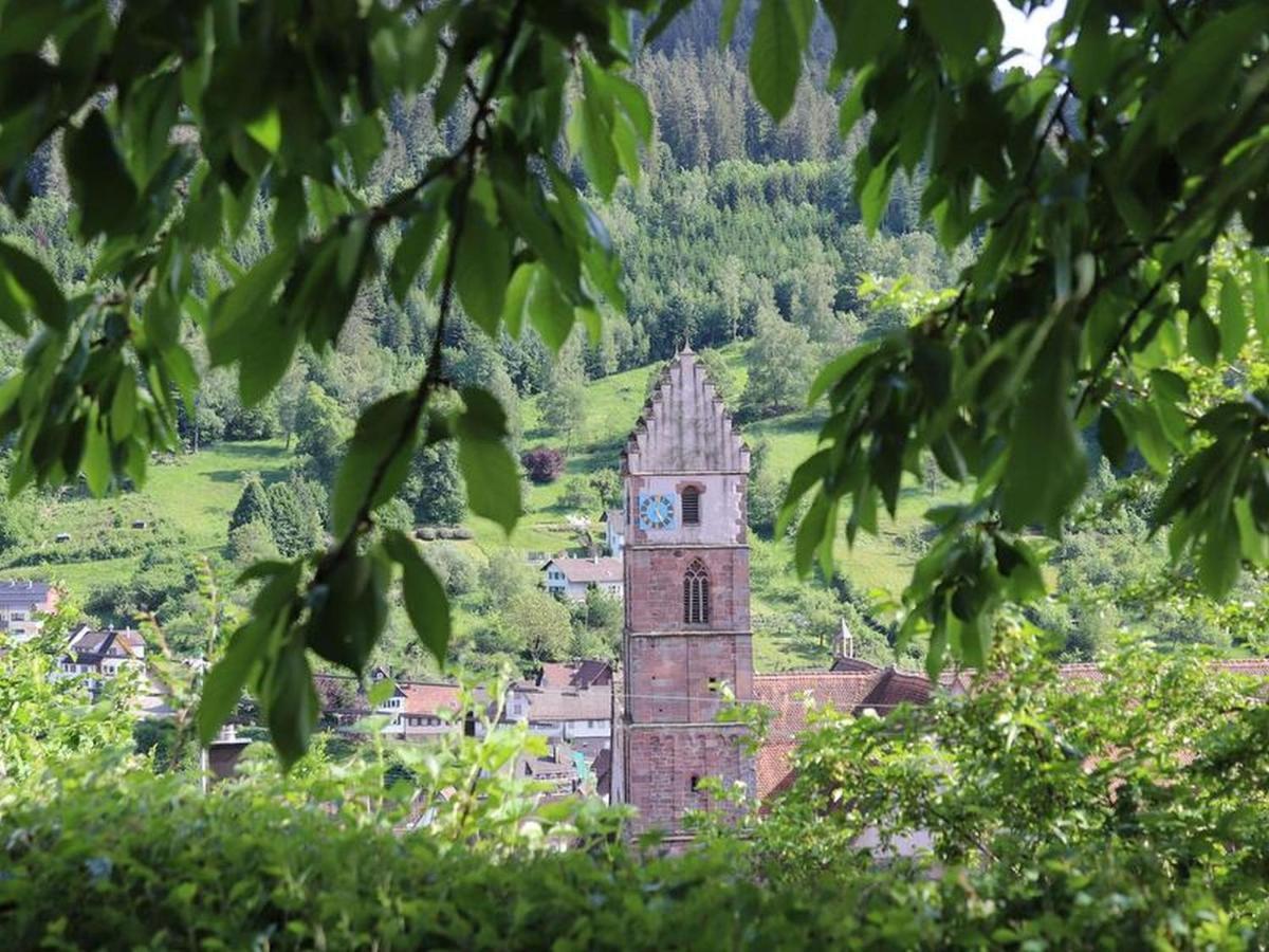 Haus Hoehneck 1 Alpirsbach Luaran gambar